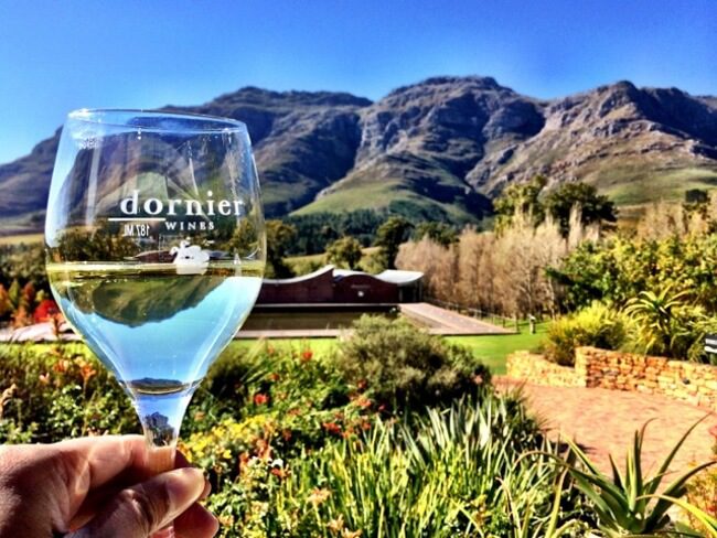 7 Amazing Stellenbosch Wineries to Visit