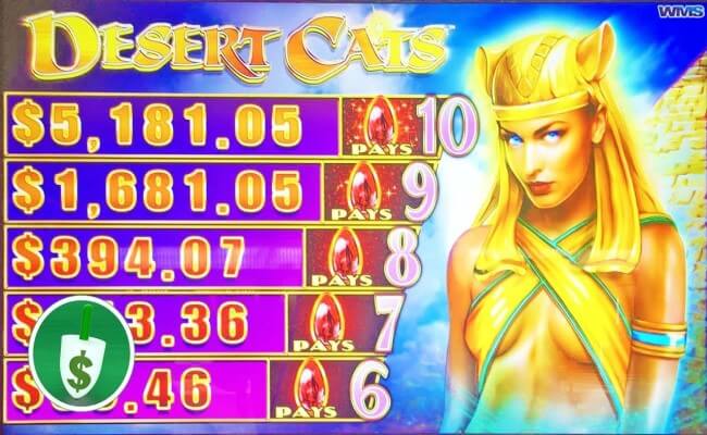 Desert Cats Slot Machine 1