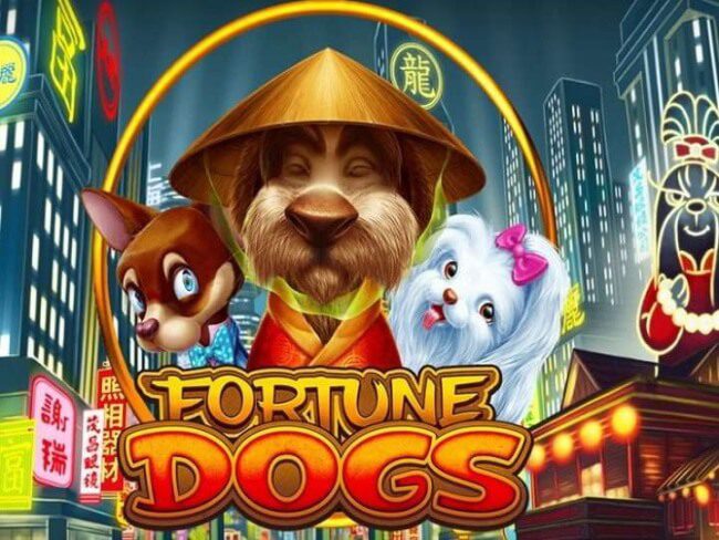 Fortune Dogs 720x540 1