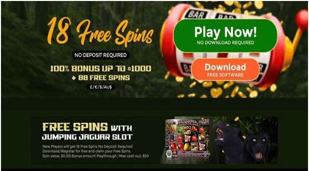 Free spin Bonus at SA casinos online
