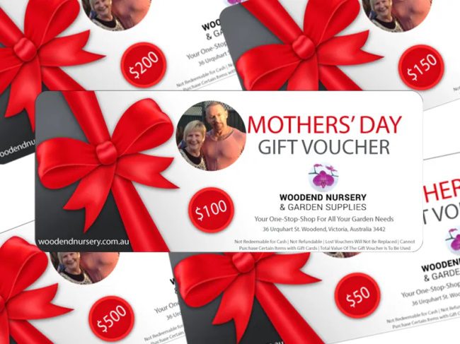 Spa Vouchers -This is one of the 8 Gifts to Buy This Mother's Day. 