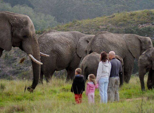 Spend-time-With-Elephants