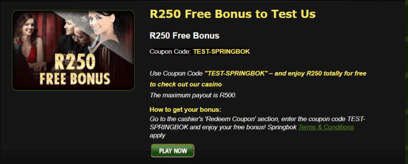 Springbok casino- Free bonus