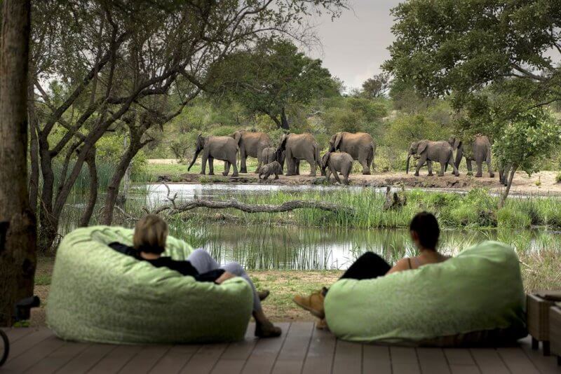 Timbavati Private Nature and Game Reserve